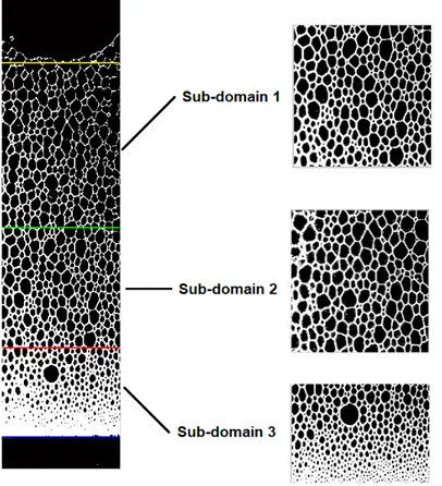 Figure 2.29: Division of the foam domain in sub-domains for the correct selection of the conversion parameter.