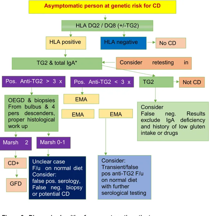 Figure 6:  Diagnosis algorithm for asymptomatic patient Marsh  2 