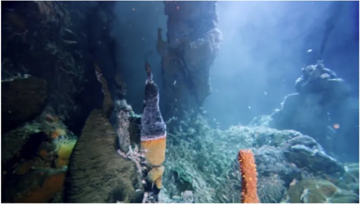 Figure 3. Mid Atlantic Ridge hydrothermal vent  systems, image credit BBC. 