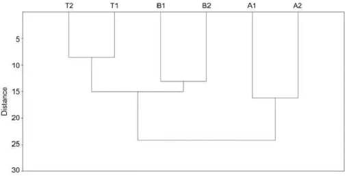 Figure 5. Hierarchical cluster analysis of the Chardonnay wines obtained in toasted barrels (B1 and 