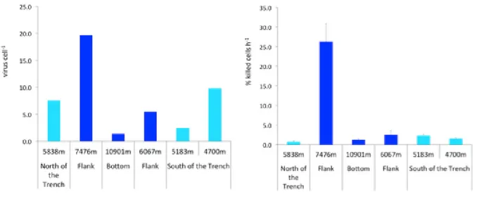 Table 2. Burst size values at each sampling site  