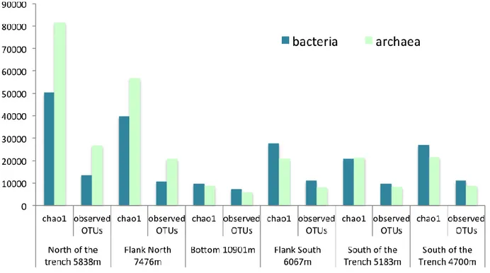 Fig. 7 Observed and estimated (by Chao 1) OTUs number of bacteria and archaea in all investigate sites