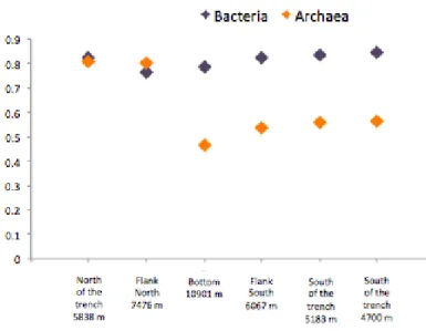 Fig. 9 Bacterial and archaeal Equitability index values. 