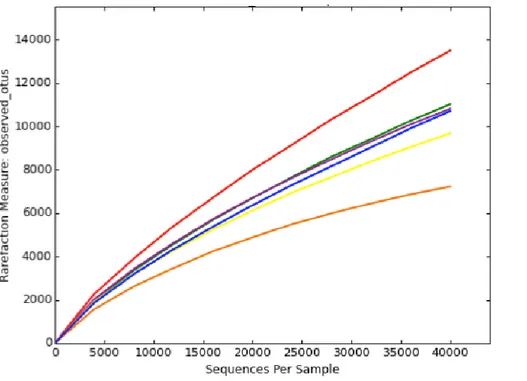 Fig. 10 Bacterial rarefaction curves based on the analysis of 40000 sequences 