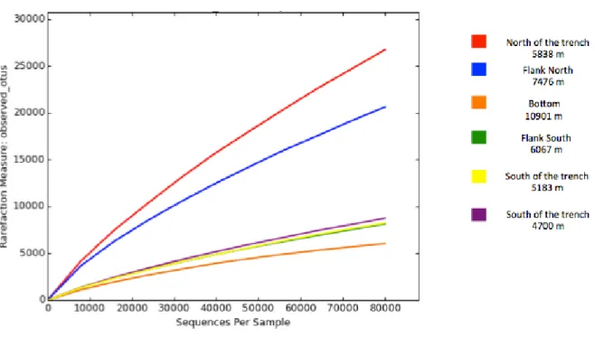 Fig. 11 Archaeal rarefaction curves based on the analysis of 80000 sequences 
