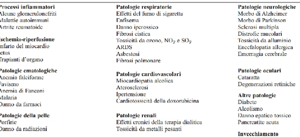 Tabella  1:  Principali  patologie  in  cui  è  stata  riscontrata  l’influenza  dello  stress  ossidativo (Corti A