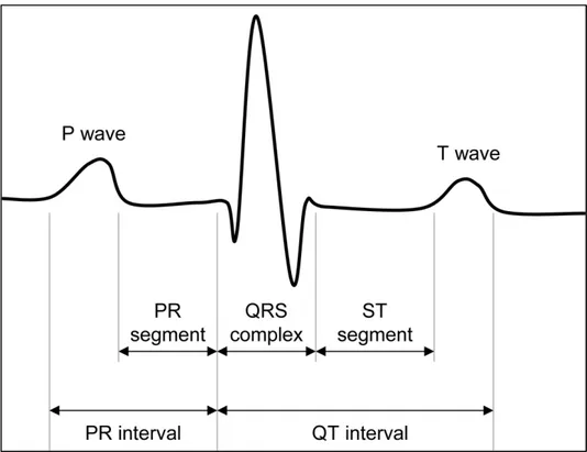 Fig. 1.8 . Electrocardiographic (ECG) signal 