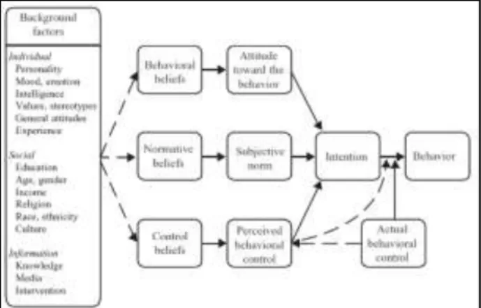 Figure  13  shows  all  background  factors  and  antecedents  of  intentions  and  behaviour  (Ajzen &amp; Fishbein 2005)