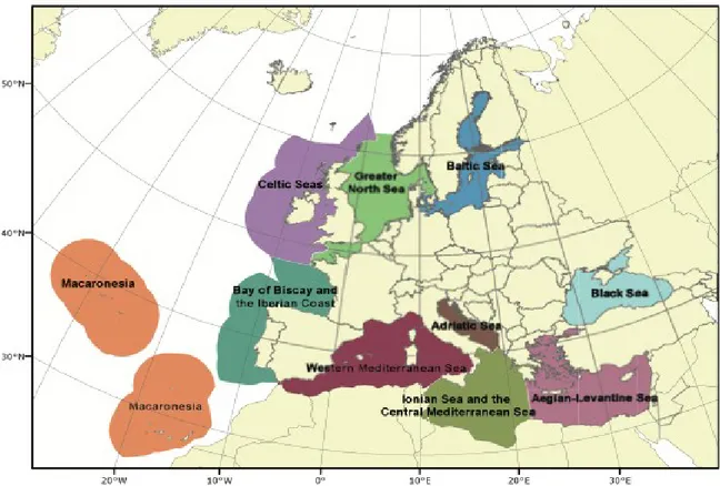 Figure 2  European seas sub-division identified by Marine Strategy Framework Directive .