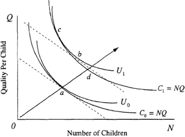Figure 1.1 – Interaction of the demand for quality and quantity of children