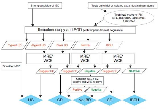 Figure 2. Evaluation of child/adolescent with intestinal or extra-intestinal symptoms suggestive of IBD, as 