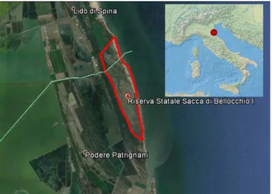 Fig. 10 - Localizzazione della Riserva Naturale Statale Sacca di Bellocchio (RA).  