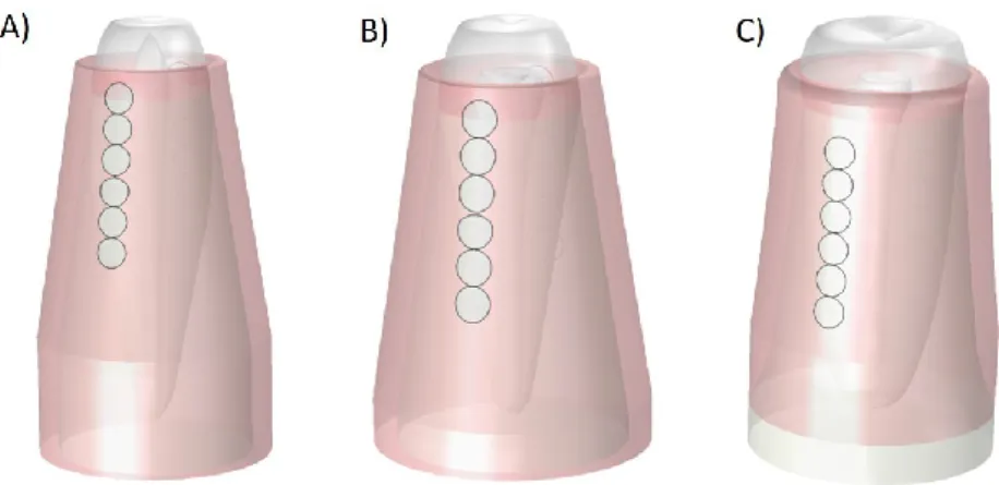 Figure 41. Natural healthy tooth roots models concerning                                                                            incisor (A), canine (B) and premolar (C) teeth – rounded electrodes 