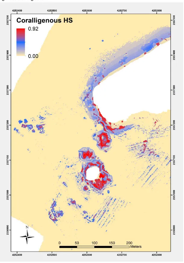 Figure  2.  Predicted  occurrence  probability  for  coralligenous  formations  at  Portofino  MPA