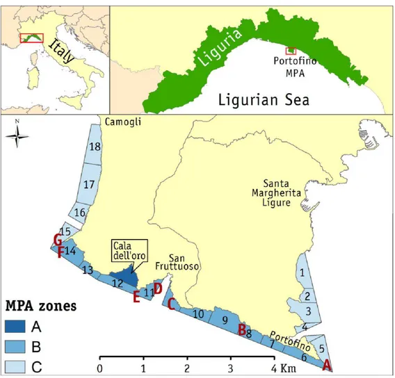 Fig. 1. Location of Portofino MPA in the Mediterranean Sea. The map illustrates the management 