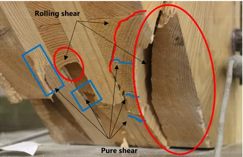Figure 6.4: failure paths at the end of the shear test, the bottom s ide 