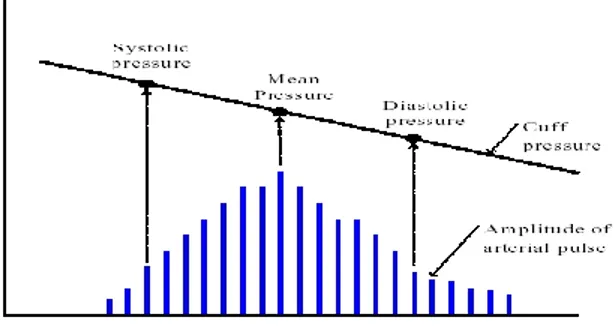 Figure 6: amplitude of the oscillations measured by means of the oscillometric pressure meter [22] 
