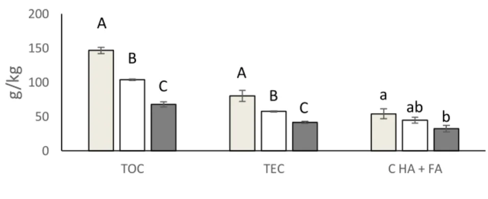 Figure 3.7. Soil C stock of the three fields. The bars represent the standard error.  Bars  labelled  with  the  different  uppercase  letters  at  the  same  field  denote  significant difference at p&lt;0.01