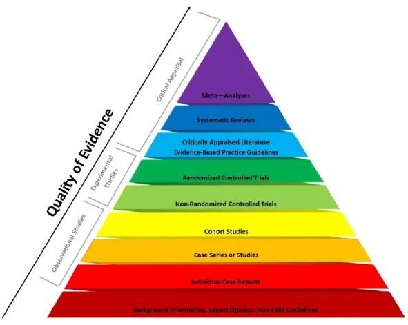 Figura 2. La Piramide delle Evidenze mostra come le rassegne sistematiche e le meta-analisi rappresentano la migliore 