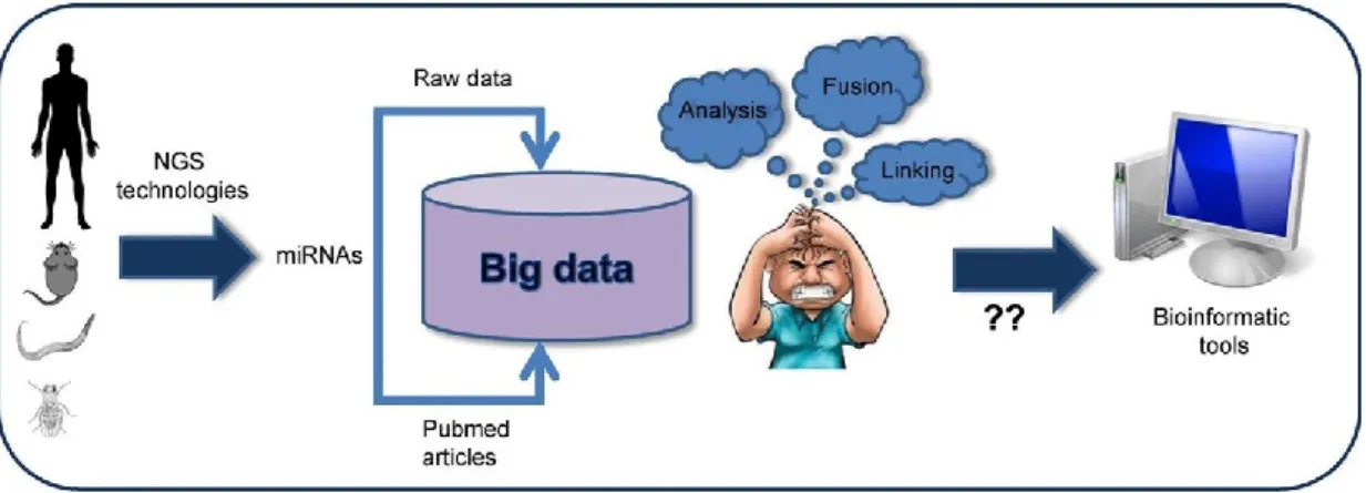 Figura 3. La Figura illustra la complessità di grandi insiemi di dati e la necessità di strumenti bioinformatici per la 