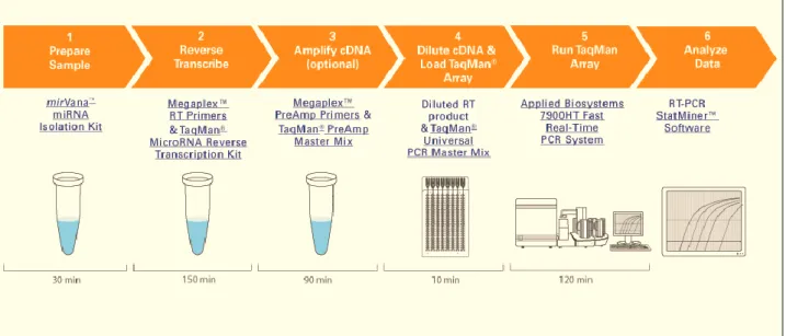 Figura  9.  processamento  dei  campioni  a  partire  dall’estrazione  fino  all’analisi  del  profilo  di  espressione  (Applied 