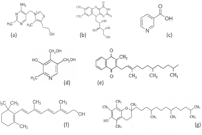 Figure 16. Chemical structure of vitamin B1 (a), vitamin B2 (b), vitamin B3 (c), vitamin B6 (d),  vitamin K (e), vitamin A (f) and vitamin E (g)
