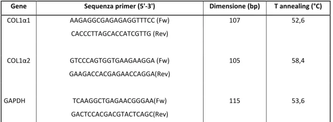 Tabella 6. Sequenza dei primer utilizzati in RT-PCR, dimensione dei prodotti amplificati e  temperature di annealing