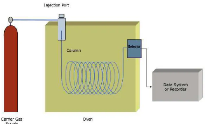 Figura 4: Schema di un gas cromatografo.