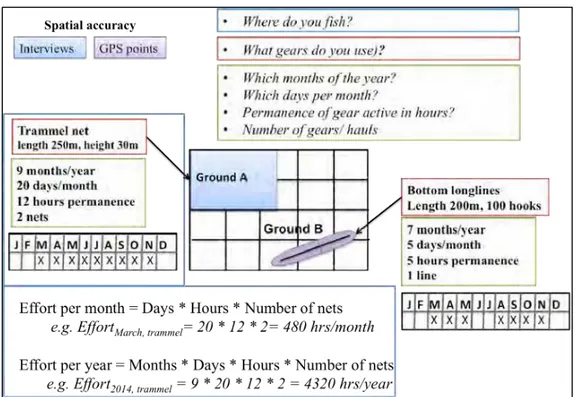 Figure 3. Example of minimum information necessary for spatial allocation of fishing 