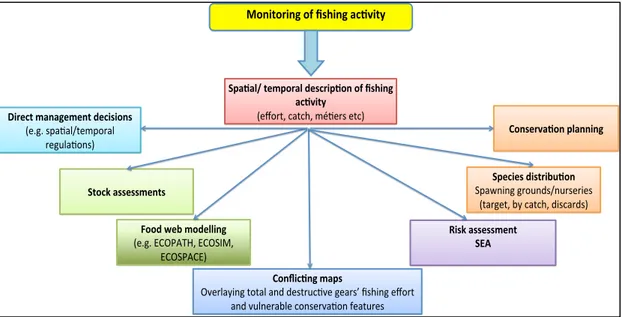 Figure 11 Capacity of monitoring information relevant to fishing activity with the 