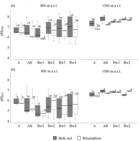 Fig. 2. Box plots showing the pH in water (a) and in KCl (b) of rhizosphere and bulk from soils under Fagus sylvatica forest at two altitudes (800 and 1000 m).Central Apennines, Italy