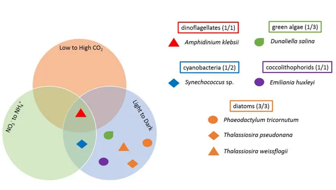 Fig.  3.3.   Venn  diagram  representing  the  propensity  of  different  algae  (represented  by  different  symbol/color combinations) belonging to different groups (represented by different colors) to respond  to three different environmental transition