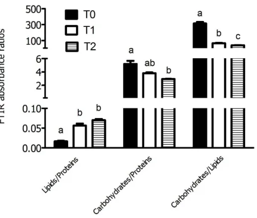 Fig. 3.4.  FTIR absorbance ratios between the main organic pools in A. klebsii cells  subjected to a  Low (400  ppmv) to High (1000 ppmv) CO 2  shift