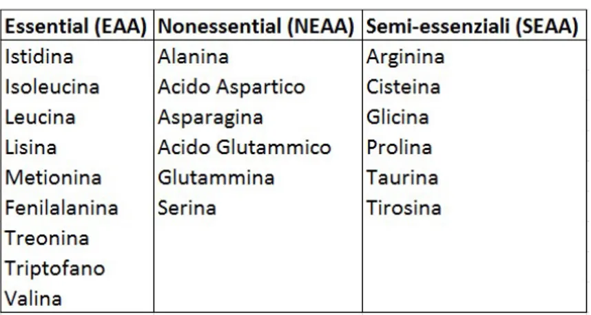 Tabella 1. Amminoacidi Essenziali (EAA), non essenziali (NEAA) e semi-essenziali (SEAA) 