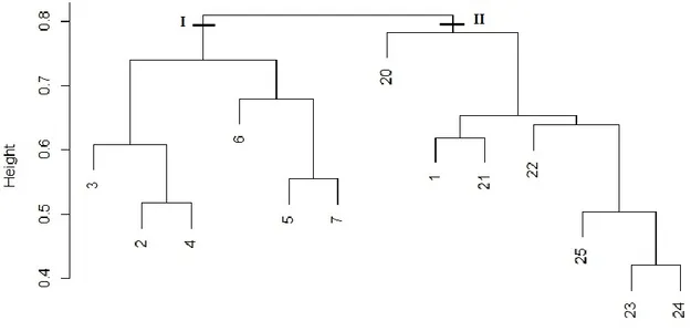 Fig. 4 - Dendrogram of the relevés in the two study areas (Cluster I, Mt. Predicatore; Cluster II, Mt