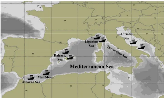 Fig. 3  Main fishing areas for Aphia minuta as reported by La Mesa et al. (2005).