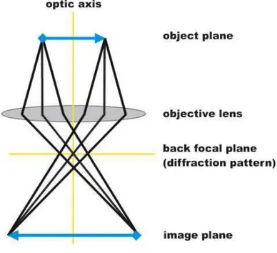 Figura 1.5 Rappresentazione semplificata del cammino dei raggi che portano alla prima  immagine intermedia nel piano immagine della lente obiettivo