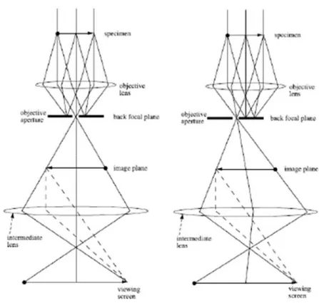 Figura 1.6 Modalità immagine nel TEM: BF a sinistra; DF a destra 
