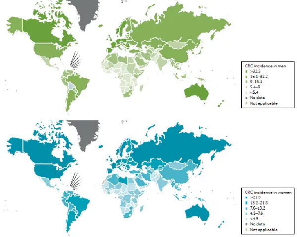 Figure 1.1. Geographical variations in colorectal cancer (CRC) rates. Data from the WHO demonstrating 