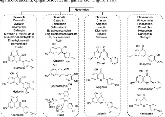 Figure 1.16. Main classes of honey flavonoids with their chemical structure (Ciulu et al., 2016)