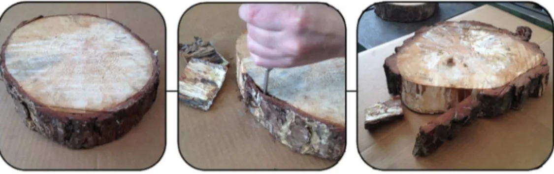Figure 4-10: operation of manually debarking of tree log disks wood slices.  