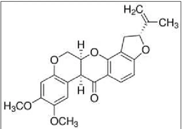 Figura 4 Molecola di Rotenone 