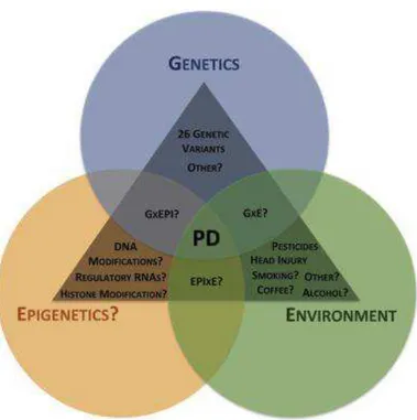 Figura 1 Panoramica schematica dell'interazione di domini genetici, ambientali ed epigenetici che  potrebbero essere alla base della fisiopatologia della MP