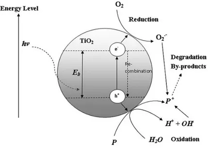 Figure 1.3 The mechanism of electron-hole pair formation in a TiO 2  particle in the presence of 