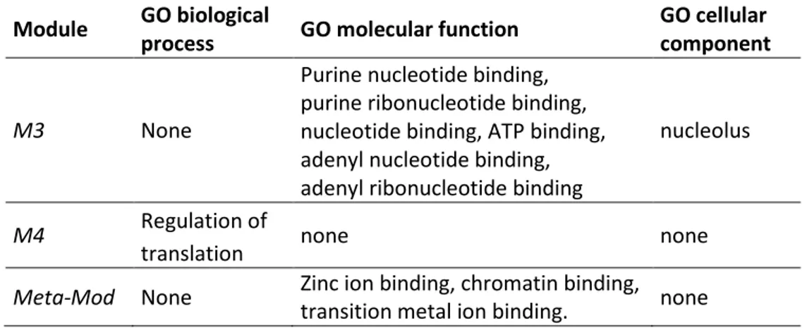 Table 12 Functional annotation of hub miRNAs: enriched KEGG pathways 