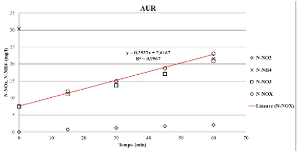 Figura 3.53 Esempio di andamento delle concentrazioni durante un test AUR. 