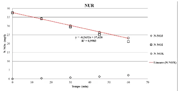 Figura 3.54 Esempio di andamento delle concentrazioni durante un test NUR. 
