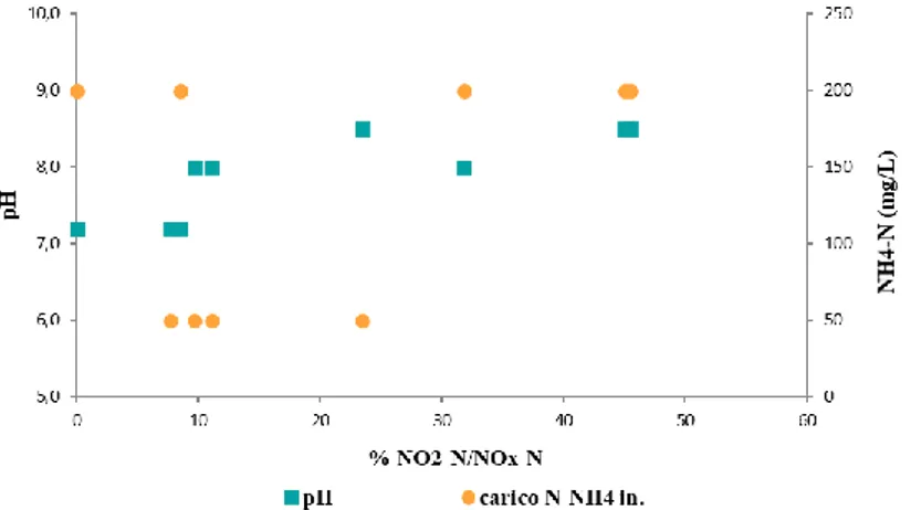 Figura 4.5 Effetto del carico di NH4 -N iniziale e del pH sulla %NO 2 -N/NO x -N. 