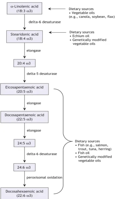 Figure 4 – Metabolism and dietary sources of the omega-3 family of polyunsaturated fatty  acids