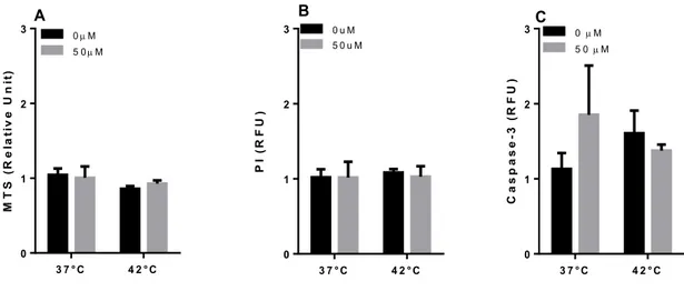 Figure 13: Viability, necrosis and apoptosis analysis of Jurkat after 2 hours heat shock together  with KNK347